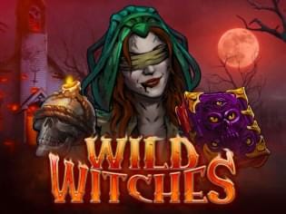 Wild Witches game thumbnail