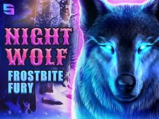 Night Wolf - Frostbite Fury game thumbnail